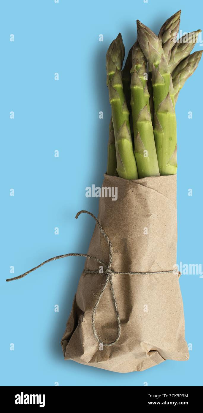 Ein Bündel frischer Spargel, in braunes Papier gewickelt, mit Garn gebunden, um seine leuchtende grüne Farbe und seine natürliche Erscheinung zu zeigen. Stockfoto