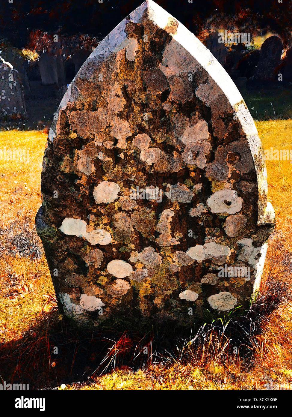 Grabstein, Grabstein bedeckt mit Flechten, Friedhof Friedhöfe als Orte des Friedens, zurückerobert von der Natur, Heilung, Verlust, Erinnerung Stockfoto