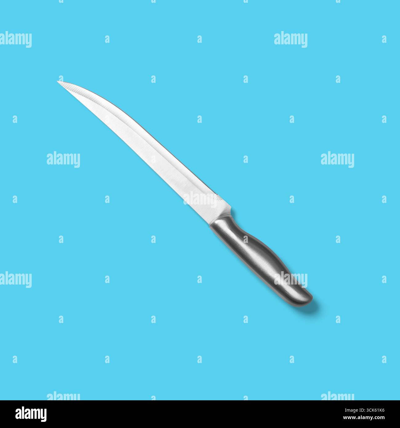 Ein schlankes Edelstahlmesser mit gebogener Klinge für präzises Schneiden bei kulinarischen Aufgaben. Stockfoto