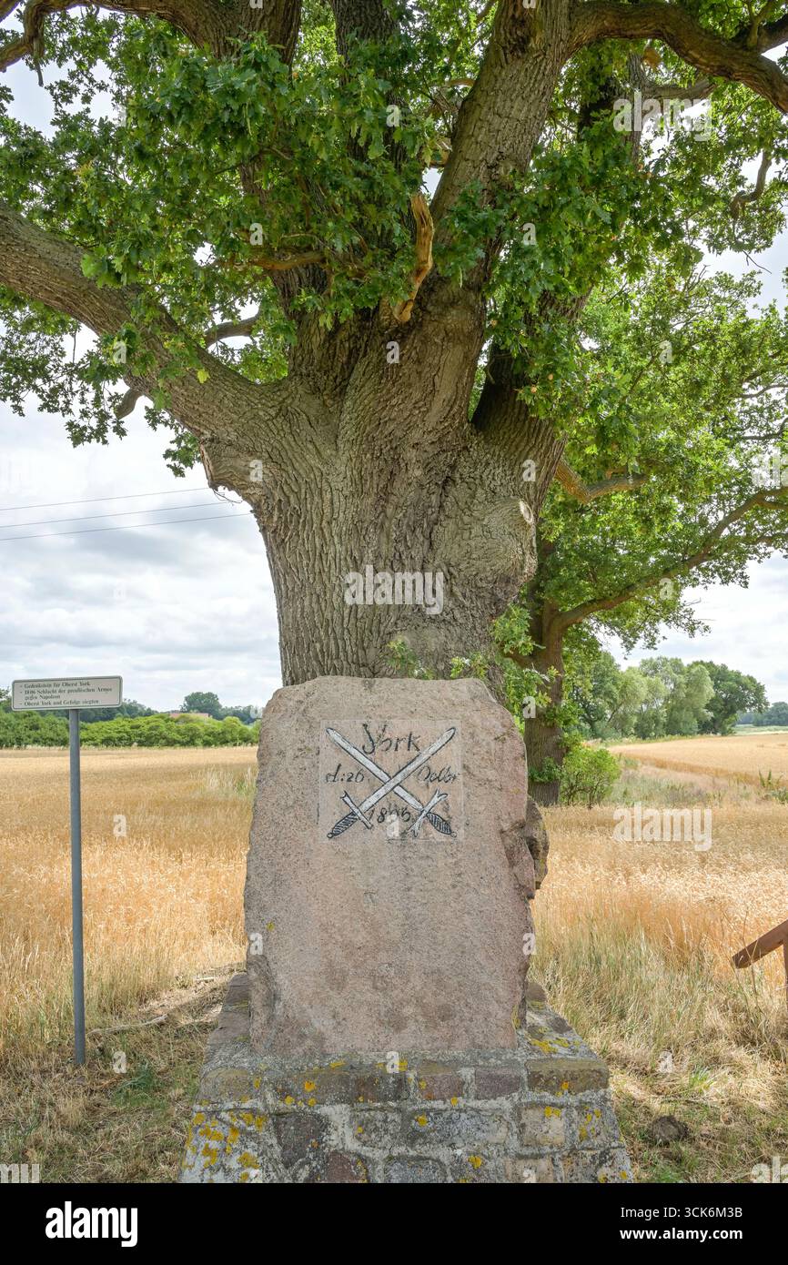 Gedenkstein für Oberst Yorck, Gefecht bei Altenzaun, Sachsen-Anhalt, Deutschland Stockfoto