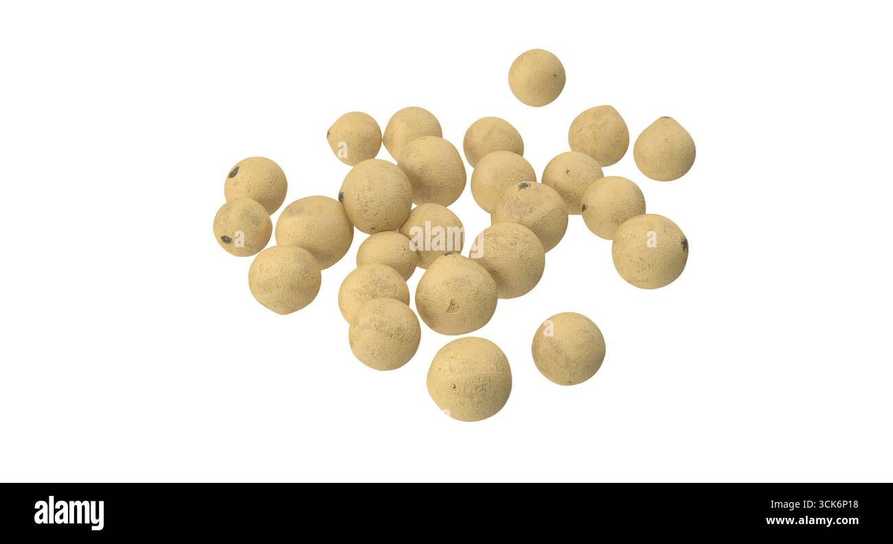 Eine Sammlung kleiner, runder, beiger Kugeln, die möglicherweise eine Art von Samen oder natürlichem Material darstellen. Stockfoto