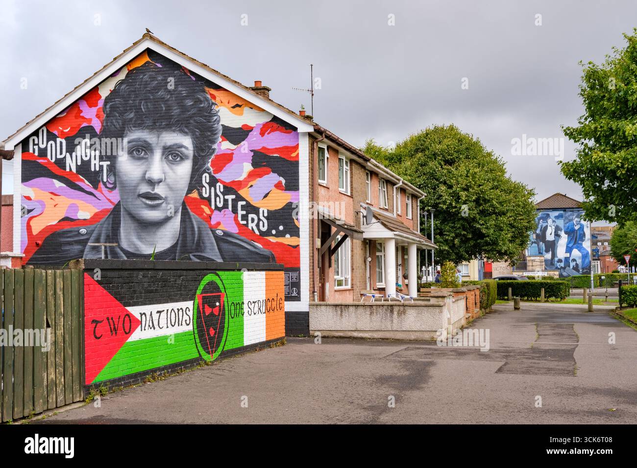 3. Juli 2025: Irland: Historisches Wandbild eines weiblichen Symbols in Belfast mit lebendigen Farben und sozialen Themen in einer ruhigen Umgebung Stockfoto