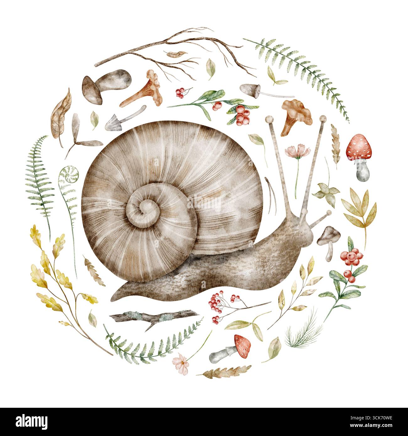 Illustration von Schnecken mit Waldelementen wie Pilzen, Blättern und Beeren. Zeichnung von Waldtieren mit Herbstpflanzen für Kinderplakate oder Babygrußkarten und -Einladungen. Stockfoto