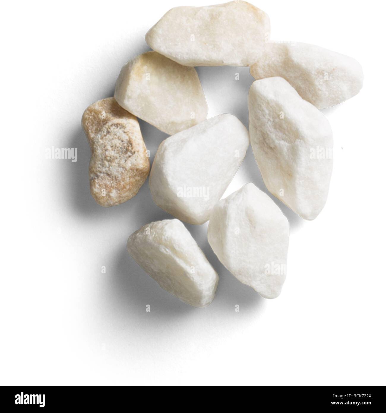 Eine Sammlung weißer Steine auf schwarzem Hintergrund, die ihre natürlichen Strukturen und Formen zeigen. Stockfoto