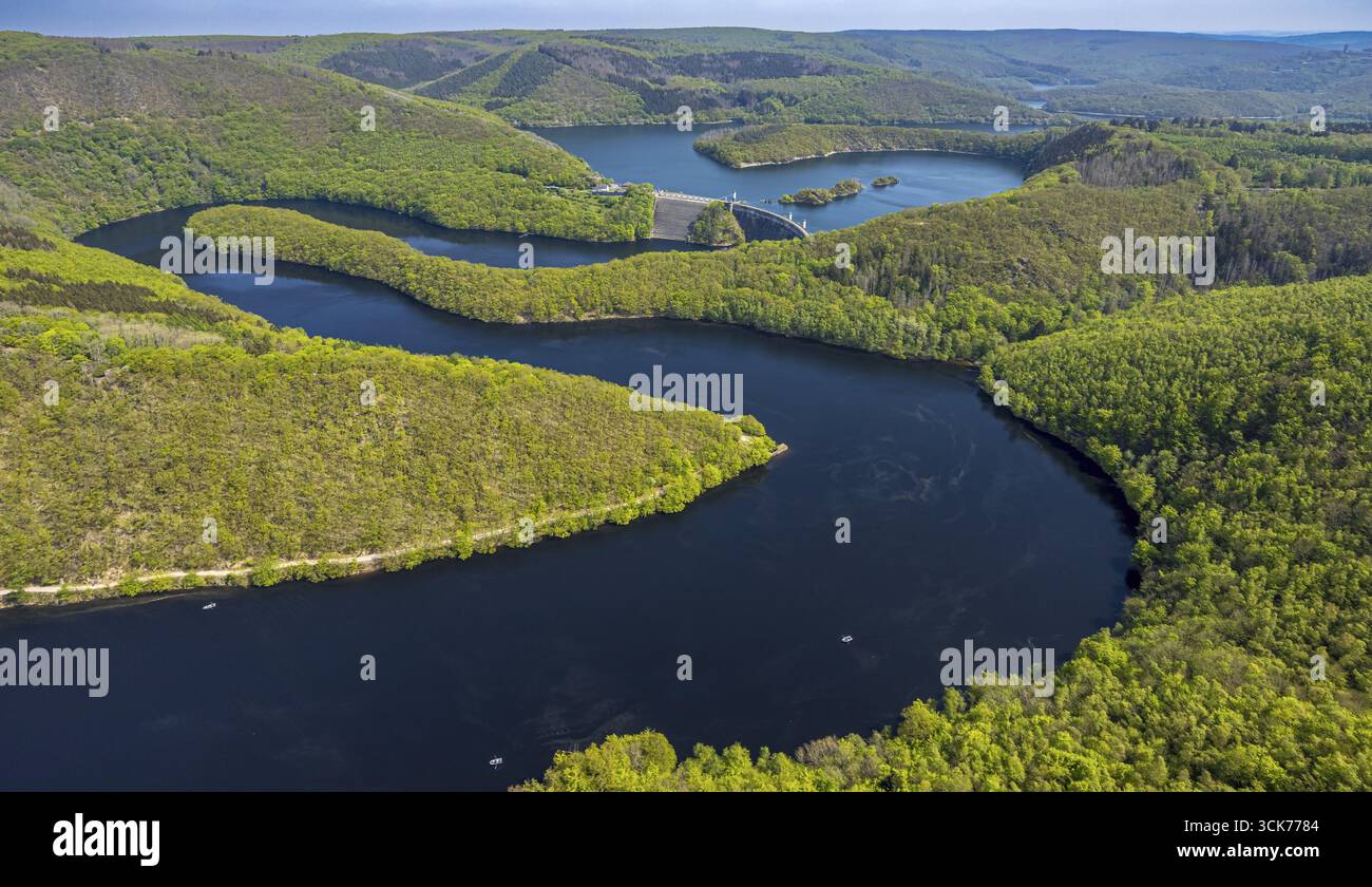 Aus der Vogelperspektive, Rur und Urfttalsperre Urftsee, Fernsicht Waldgebiet Hügel und Täler, Nationalpark Eifel Nordeifel Eifel, Rurberg, Simmerath, Nor Stockfoto