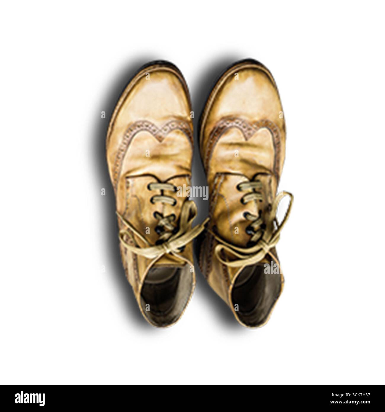 Ein Paar Schuhe im Vintage-Stil mit einzigartigem Design und Schnürsenkeln, die Handwerkskunst und Stil zeigen. Stockfoto