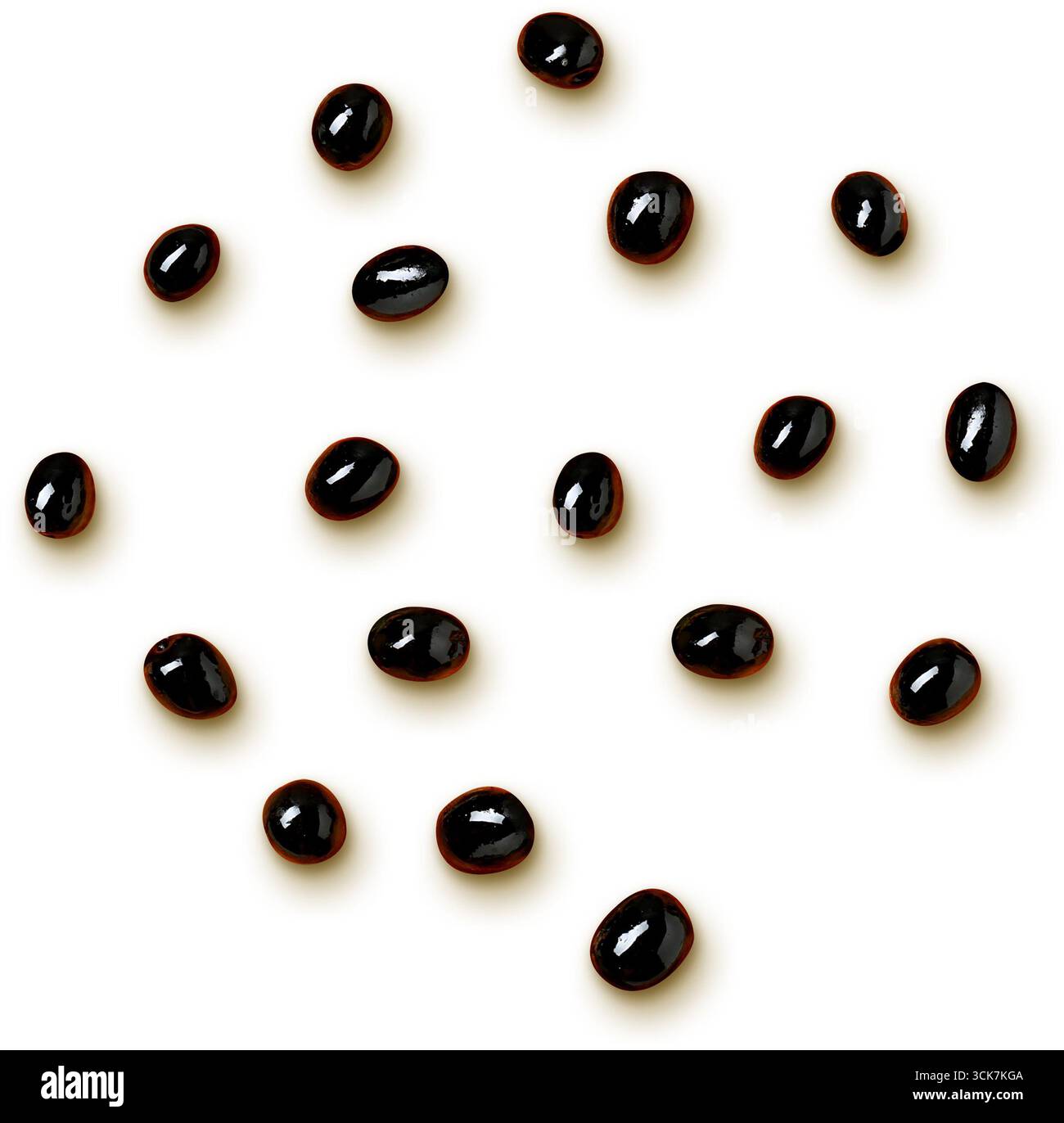 Eine Sammlung glänzender schwarzer Bohnen, verstreut auf hellem Hintergrund. Stockfoto