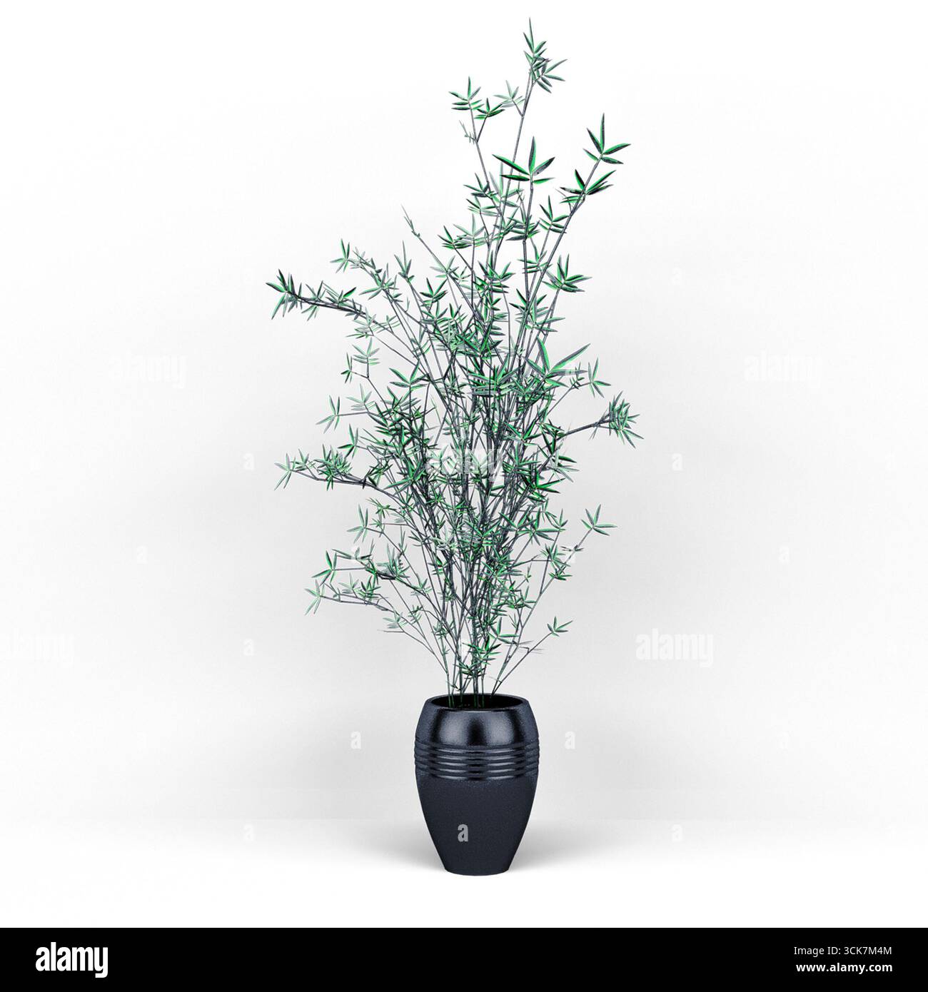 Eine moderne schwarze Vase mit grünen Zweigen, ideal für Wohnkultur oder Inneneinrichtung. Stockfoto Eine moderne schwarze Vase mit grünen Zweigen, ideal für Wohnkultur oder Inneneinrichtung. Stockfoto