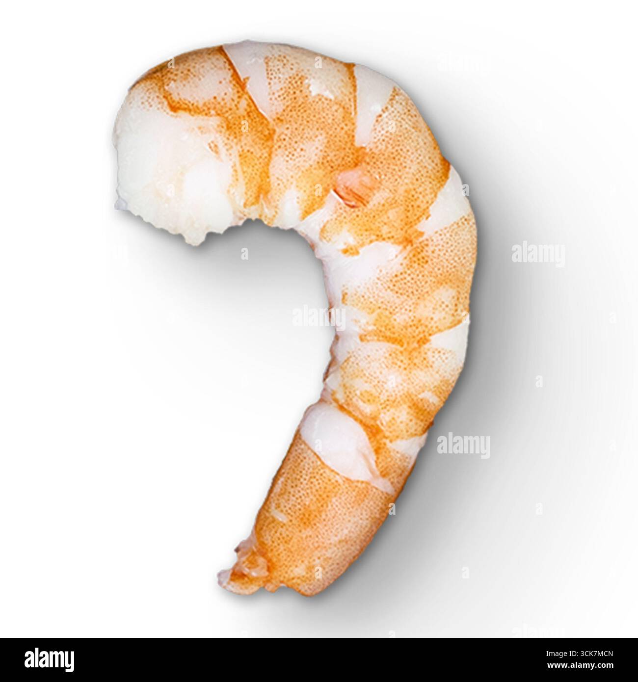 Ein Nahbild einer gekochten Garnele mit Textur und Farbe. Stockfoto