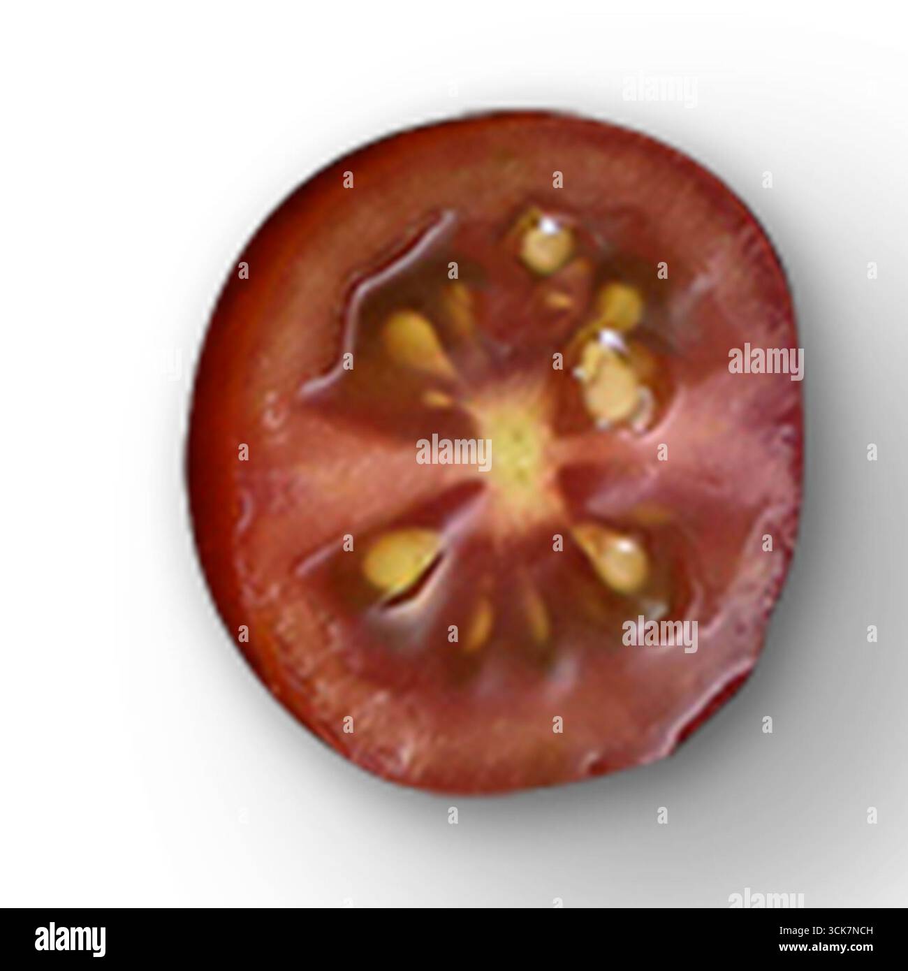Aus nächster Nähe eine geschnittene Tomate mit saftigem Innenraum und Samen. Stockfoto