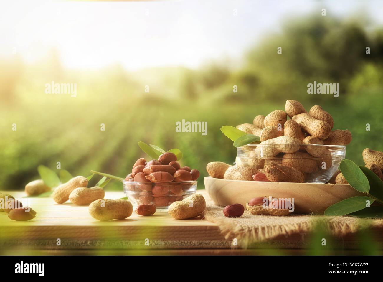 Schüsseln voller Erdnüsse mit Schale und ohne Schale auf einem Holztisch mit Getreidefeldern im Hintergrund. Stockfoto