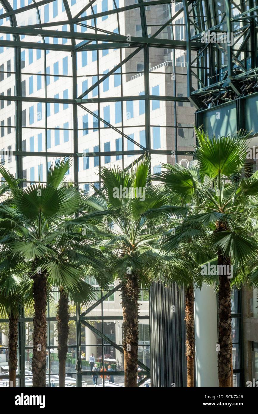 Das Winter Garden Atrium, Brookfield Place in Battery Park City, NYC, USA, 2025 Stockfoto