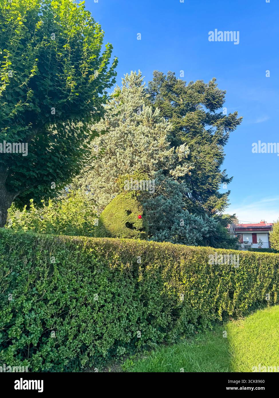 Verspielte Gartenform in Form eines Gesichts mit Augen und roter Nase, umgeben von Hecken und Bäumen an einem sonnigen Tag - Smartphone-aufgenommenes Stockfoto