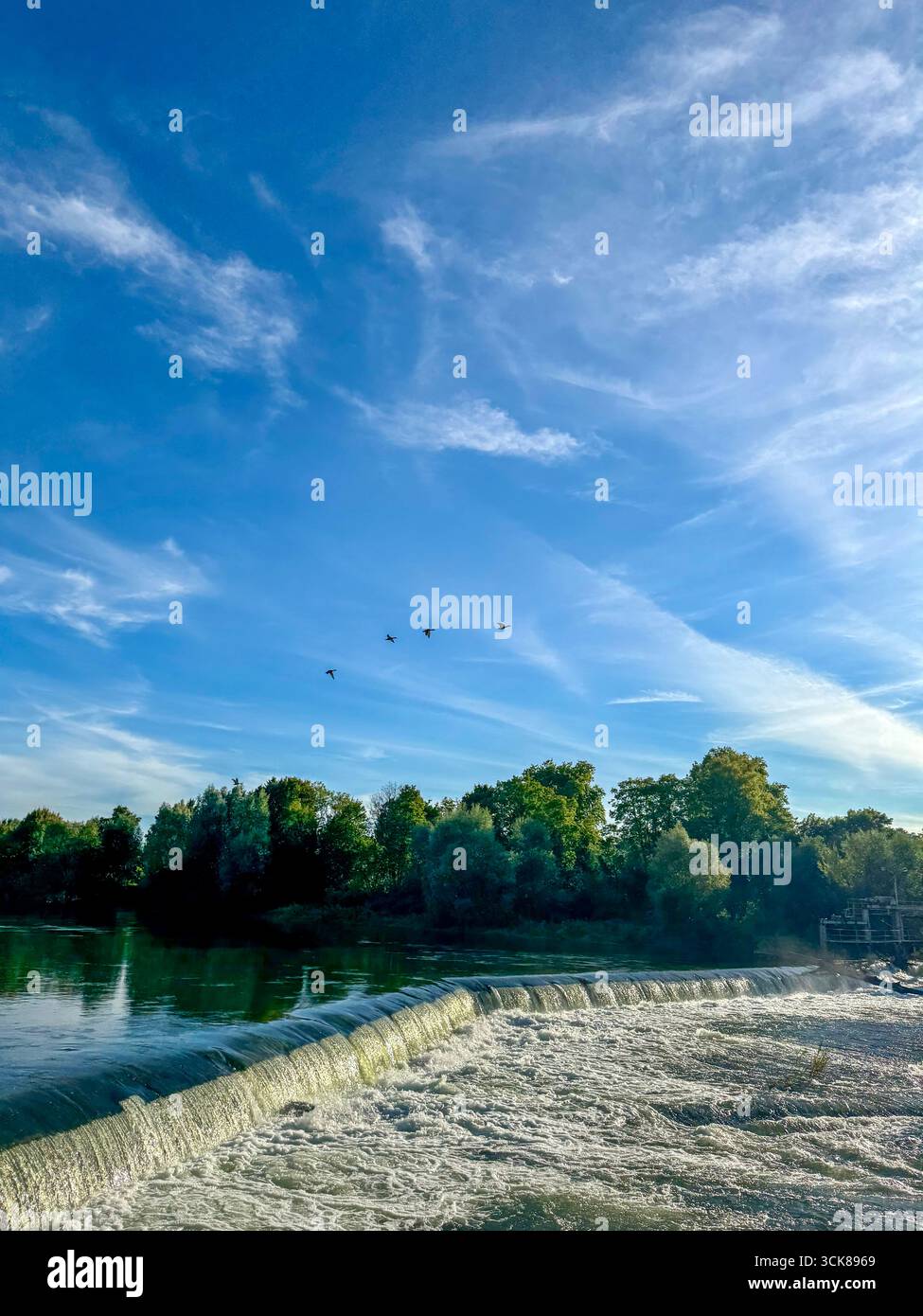 Malerischer Blick auf den Doubs in Audincourt, Frankreich, mit einem kaskadierenden Wehr, grünen Bäumen und Vögeln, die unter einem hellblauen Himmel fliegen. - Smartphone-aufgenommenes Stockfoto