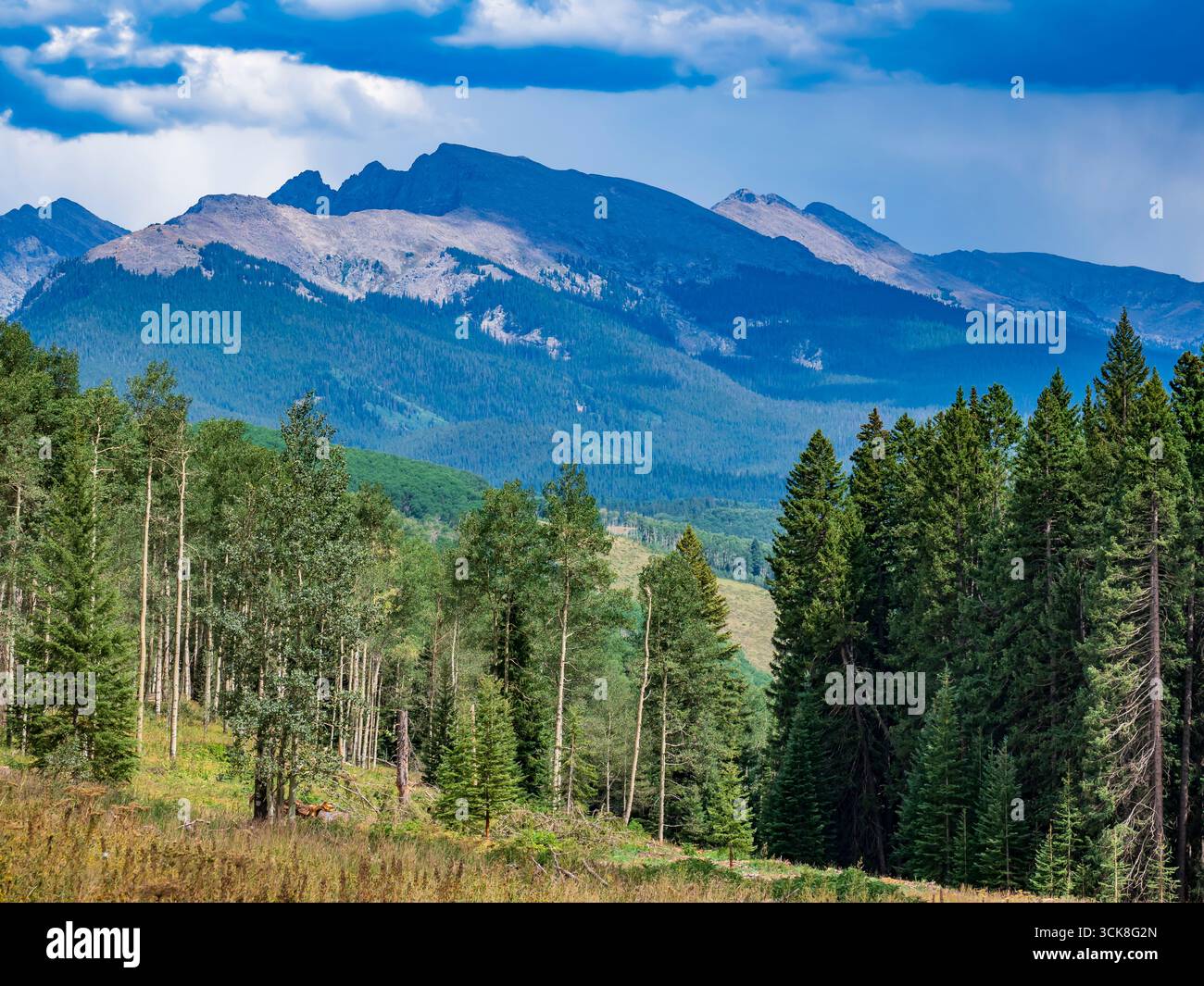 Fahren Sie vom Crooked Creek Pass über Sylvan Lake State Park, Eagle, Colorado. Stockfoto