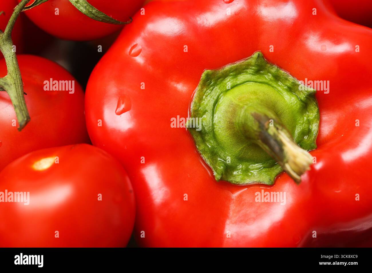 Frische rote Paprika. Großaufnahme von Gemüse mit grünem Stiel. Gesunde Bio-Lebensmittel voller Vitamine. Natürliche Zutat für die Ernte des Bauernhofs. Stockfoto