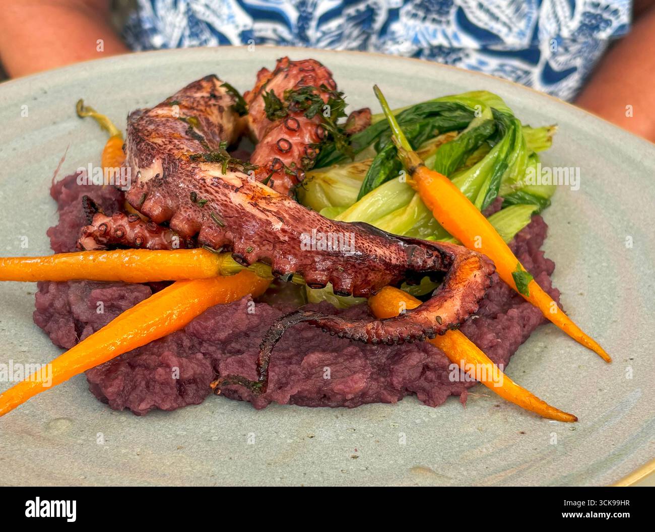 Köstlicher gegrillter Tintenfisch auf einem Bett aus violettem Kartoffelpüree mit lebendigem Gemüse. Stockfoto