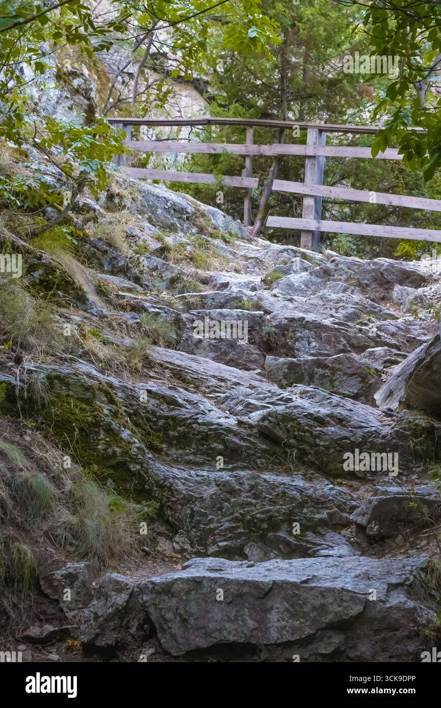 Steiler felsiger Pfad in einem Wald mit einem Holzzaun entlang des Weges. Natürliches Wandergebiet symbolisiert Herausforderung, Ausdauer und Outdoor-Erkundung Stockfoto