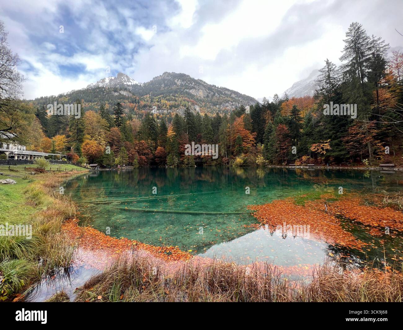 Blausee, ein kleiner Alpensee im Berner Oberland, umgeben von Herbstwald und klarem türkisfarbenem Wasser. Stockfoto