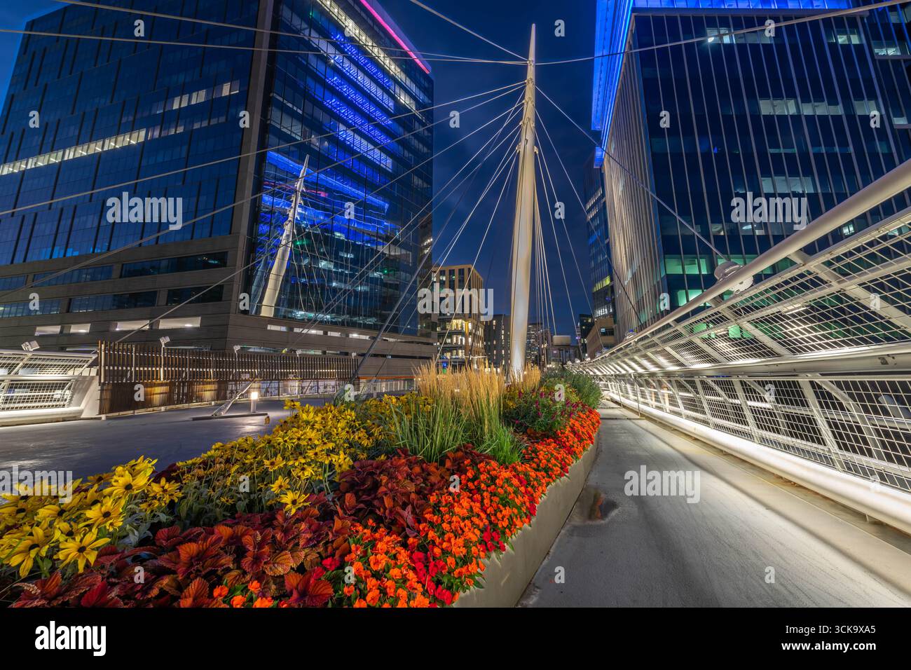 Denver's Millennium Bridge bei Nacht Stockfoto