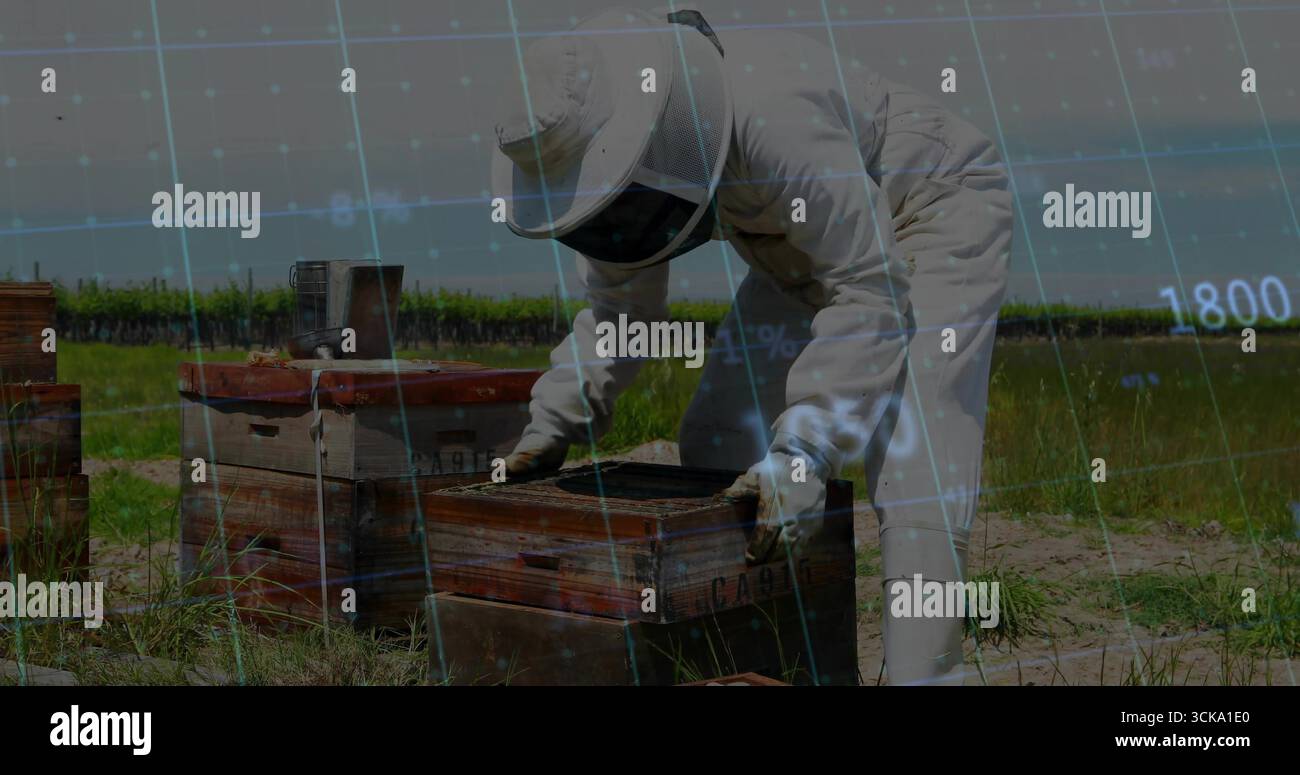 Imker im Schutzanzug, Handschuhe in der Hocke auf dem Bauernhof mit Bienenraucher Stockfoto