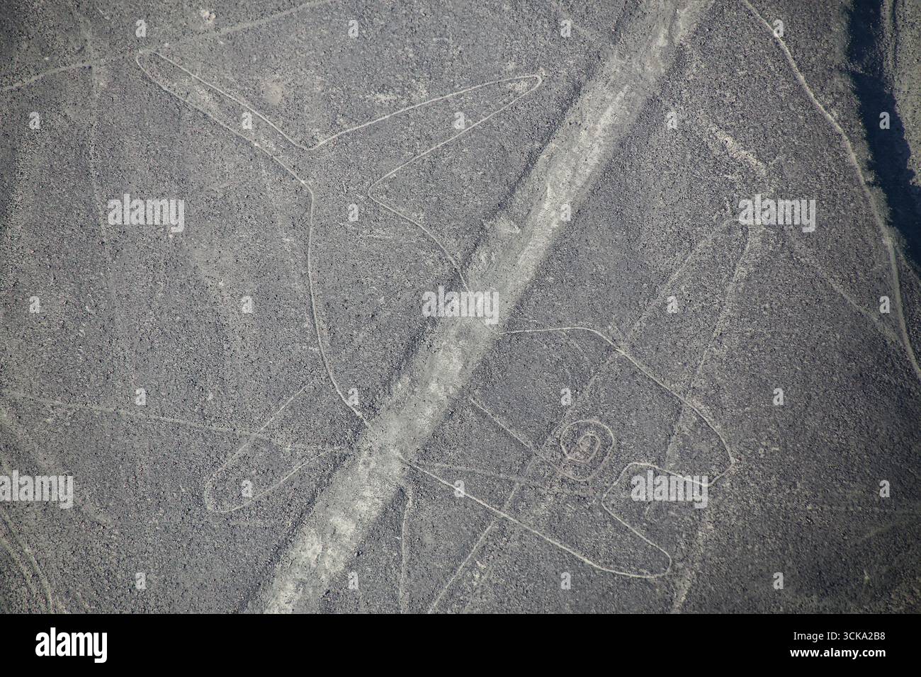 Luftaufnahme von Nazca-Linien - Wal Geoglyph, Peru. Die Linien wurden im Jahr 1994 als UNESCO-Weltkulturerbe ausgewiesen. Stockfoto