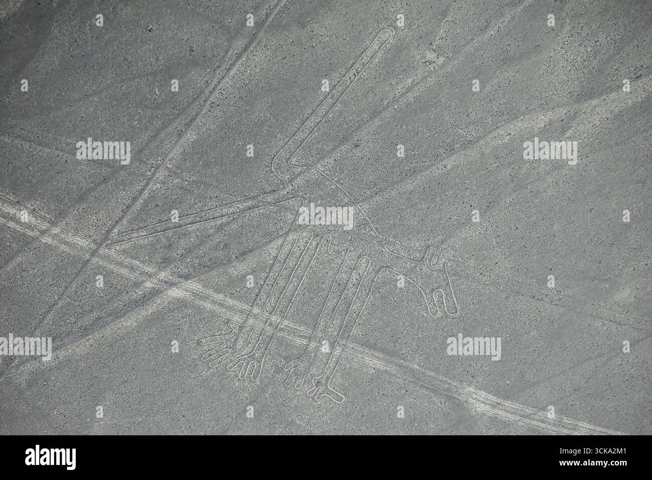Luftaufnahme von Nazca-Linien - Hund Geoglyph, Peru. Die Linien wurden im Jahr 1994 als UNESCO-Weltkulturerbe ausgewiesen. Stockfoto