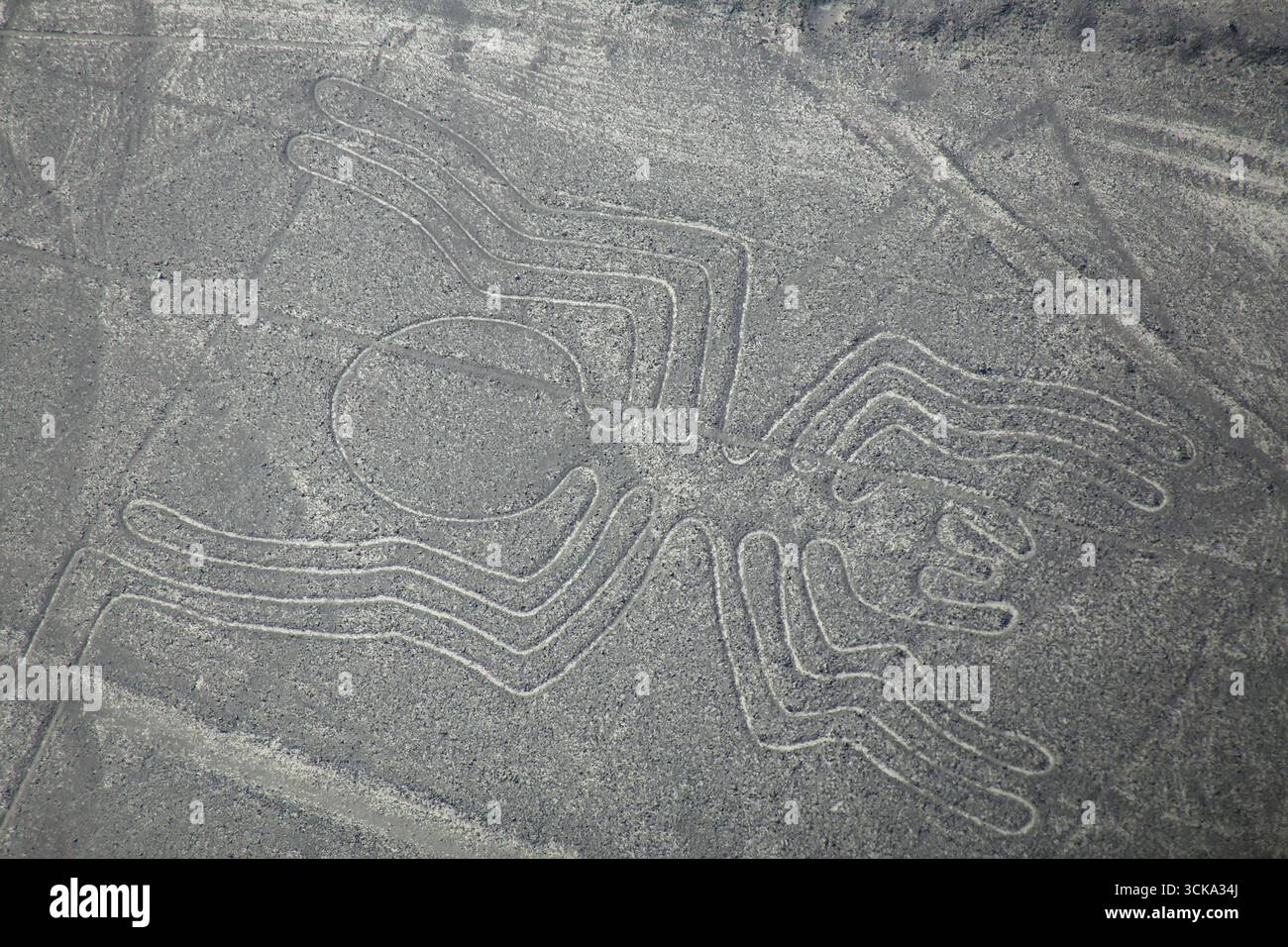 Luftaufnahme von Nazca-Linien - Spider Geoglyph, Peru. Die Linien wurden im Jahr 1994 als UNESCO-Weltkulturerbe ausgewiesen. Stockfoto
