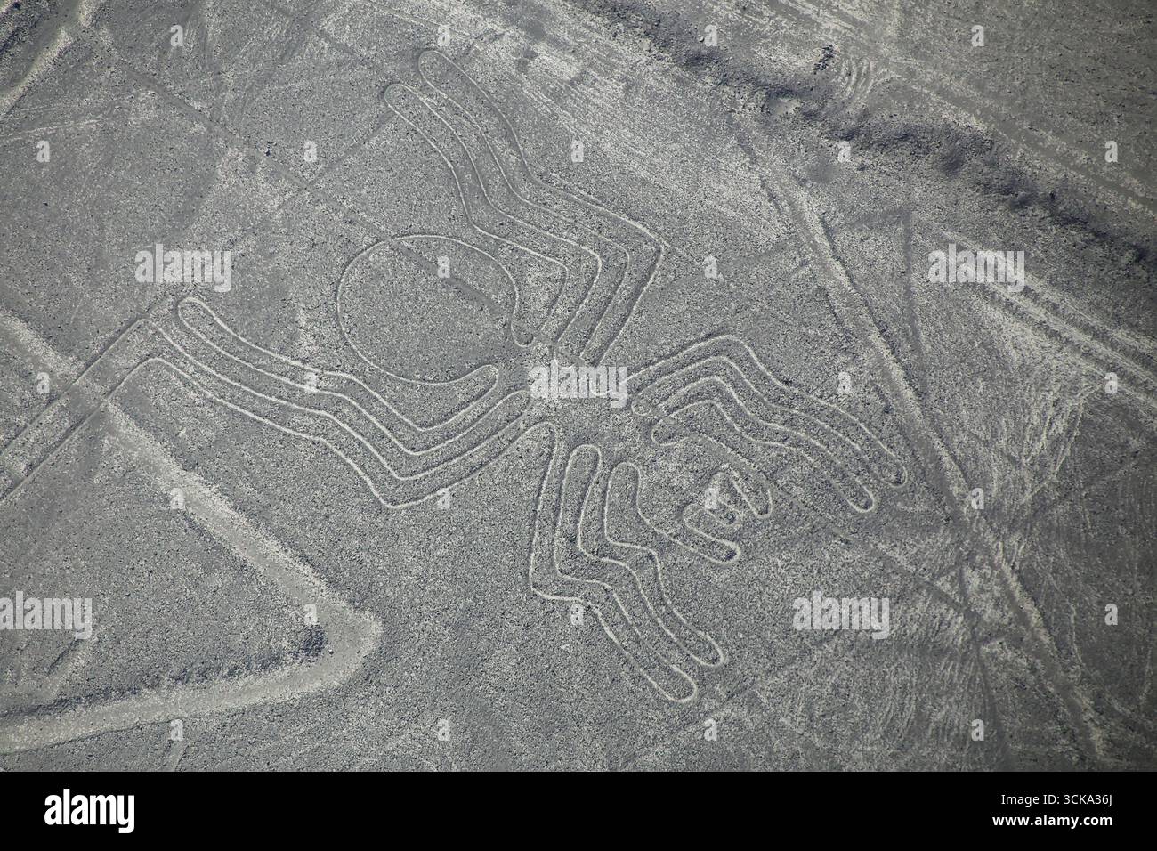 Luftaufnahme von Nazca-Linien - Spider Geoglyph, Peru. Die Linien wurden im Jahr 1994 als UNESCO-Weltkulturerbe ausgewiesen. Stockfoto
