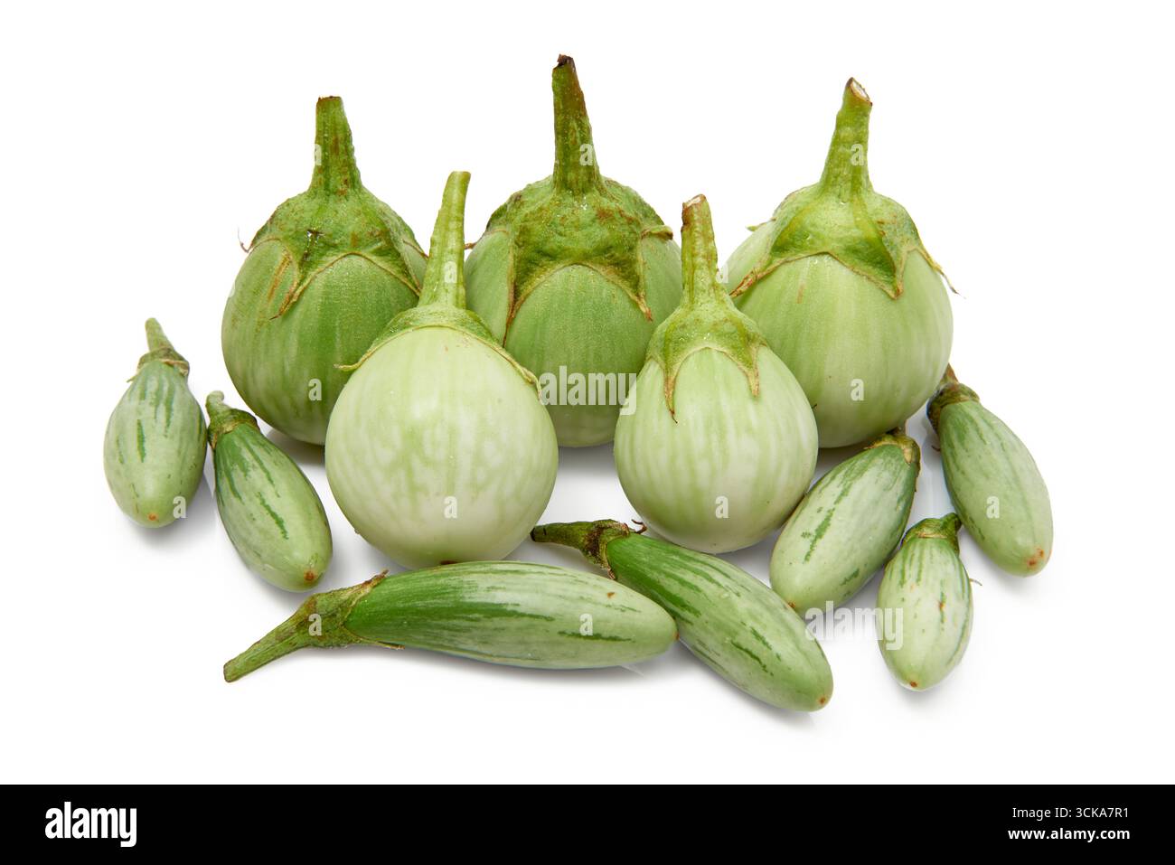 Eine Sammlung frischer grüner Auberginen, darunter größere runde und kleinere längliche Auberginen, auf einem sauberen weißen Hintergrund, perfekt für Stockfoto