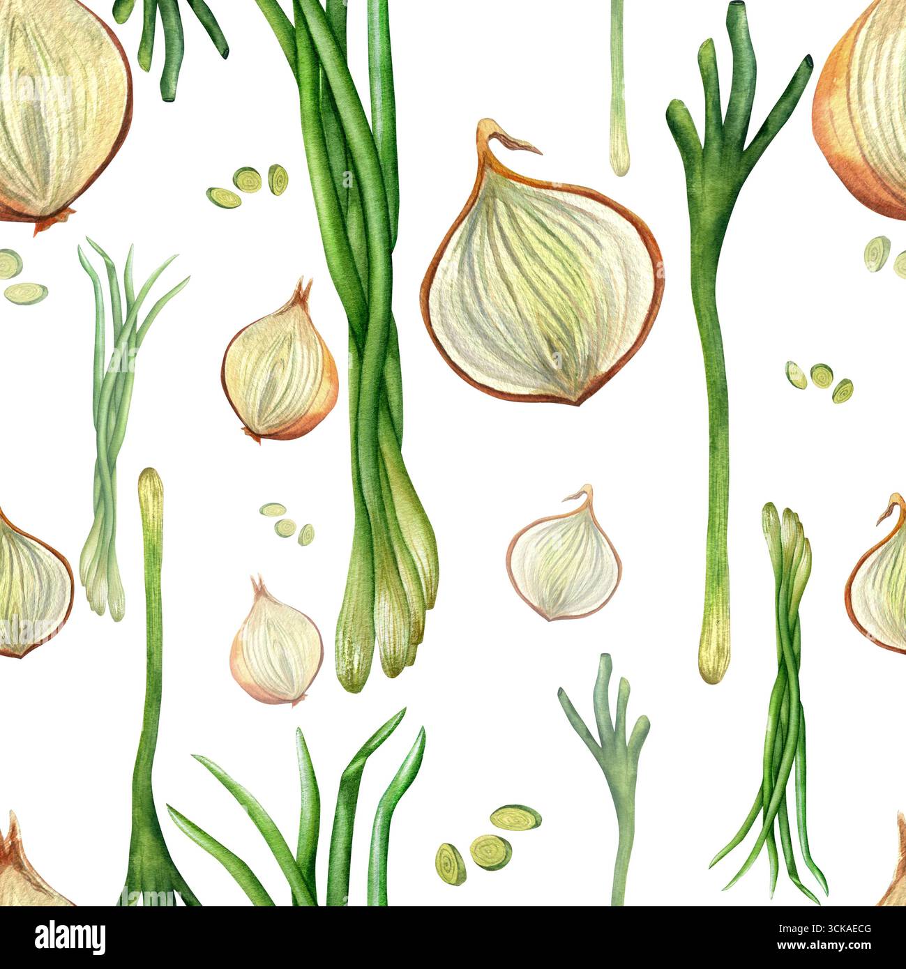 Grüne Zwiebeln, Federn, Knolle, Scheiben. Nahtloses Muster von Aquarellabbildungen auf transparentem Hintergrund. Für Tapetendesign, Postkarten Stockfoto
