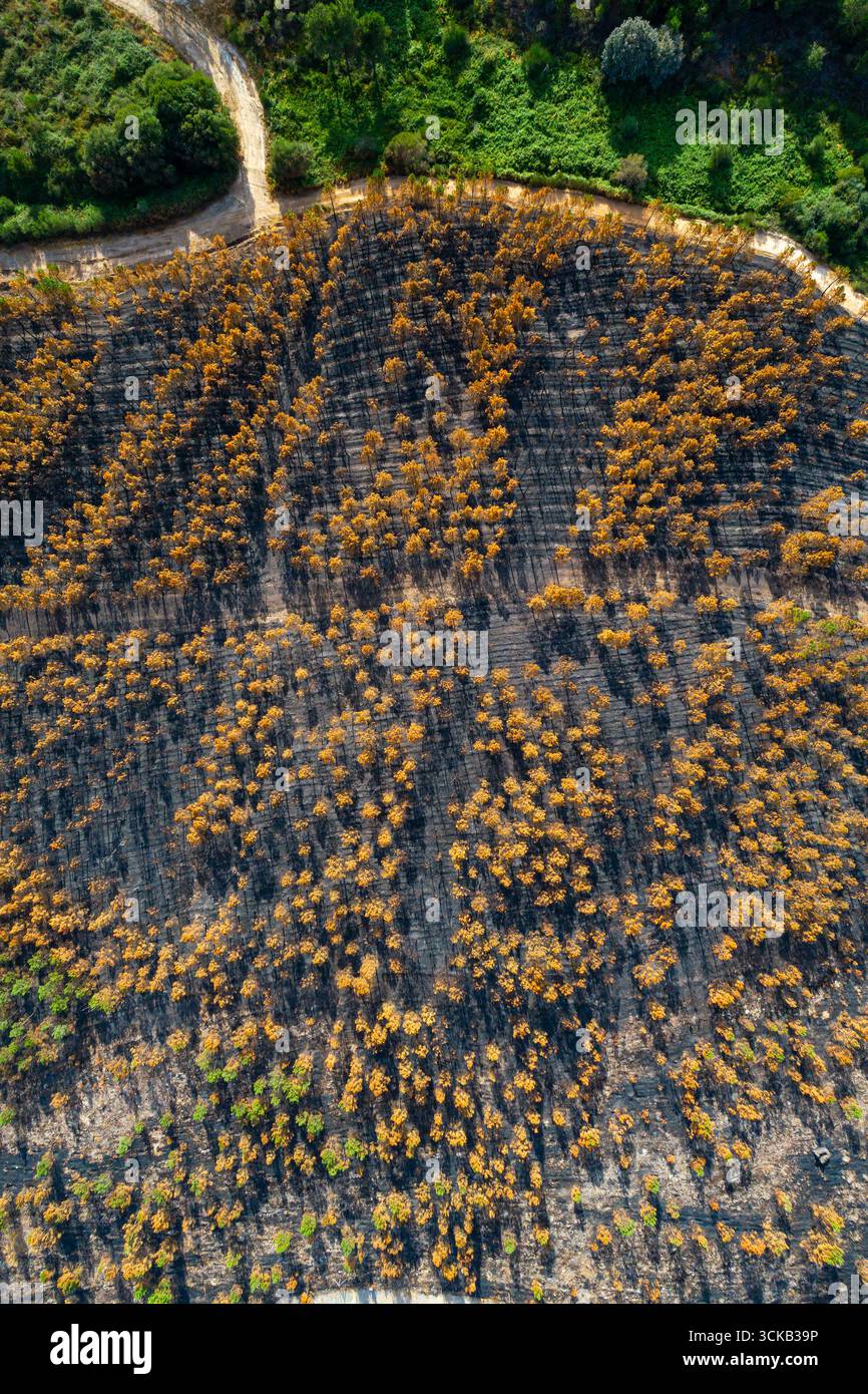 Auswirkungen des Klimawandels, halb verbrannte Landschaft von einer Drohne aus gesehen, Auswirkungen des Klimawandels Stockfoto