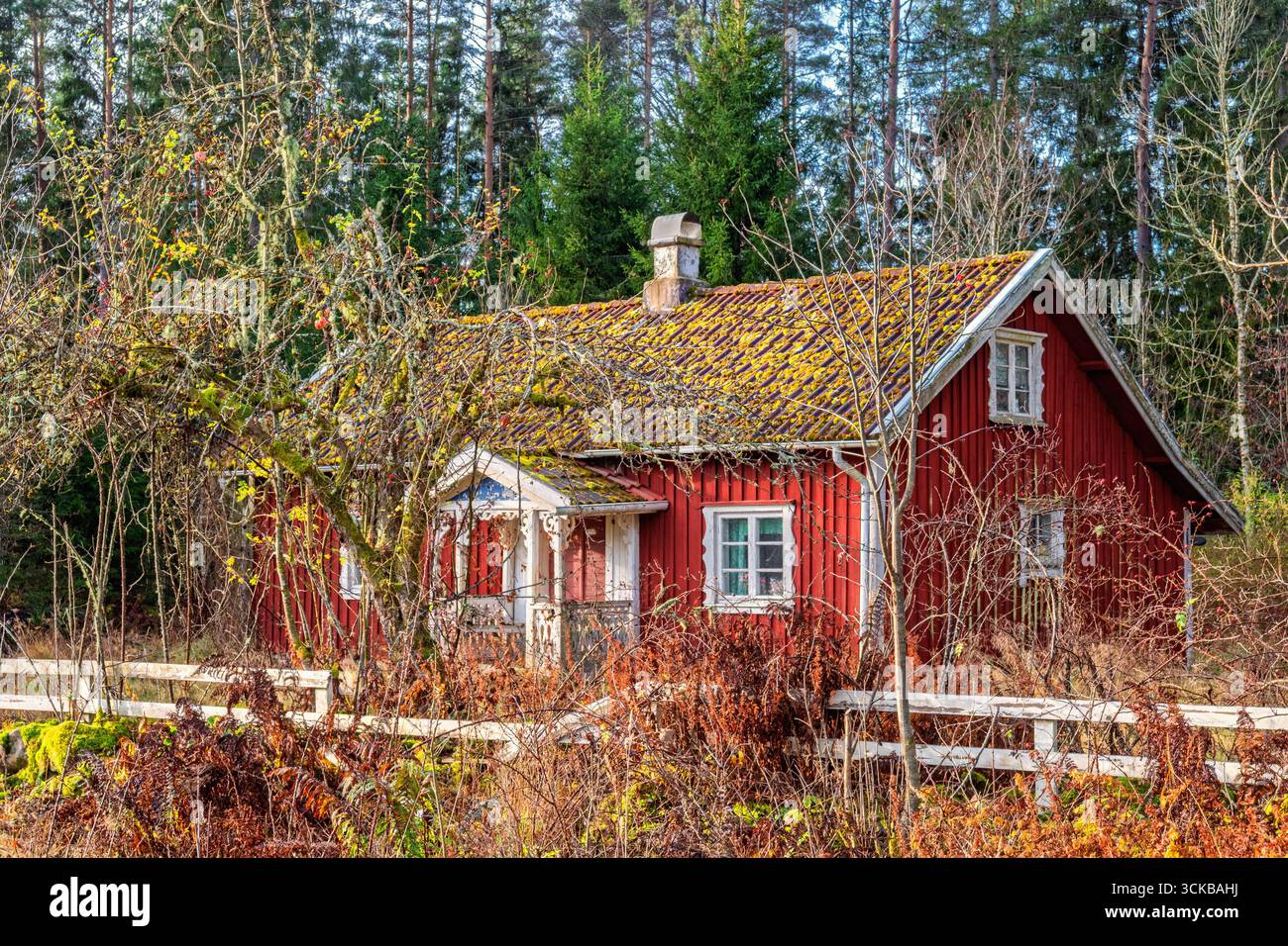 Rote idyllische Holzhütte im Wald mit einem weißen Holzzaun im Herbst Stockfoto