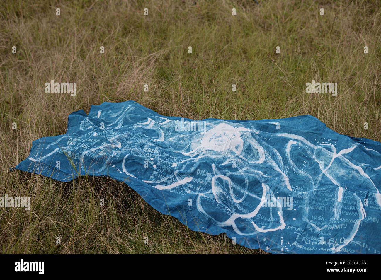 Ein blauer Stoff auf Gras mit weißen abstrakten Mustern und Text, der ein Gefühl von Natur und Kunst weckt Stockfoto