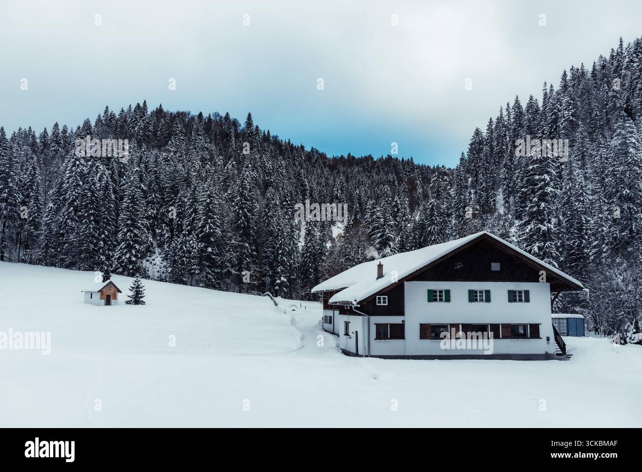 Blick auf ein bezauberndes weißes Haus mit dunklem Dach, eingebettet in eine schneebedeckte Landschaft, umgeben von immergrünen Bäumen, Almau, Bayern, Deutschland. Stockfoto