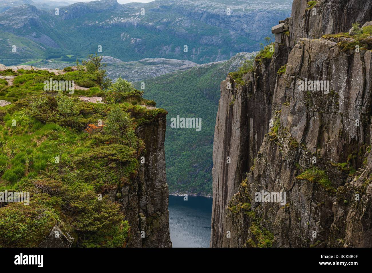 Blick auf die Preikestolen Klippen in Norwegen, mit einer engen Schlucht, üppigem Grün, zerklüfteten Felsen und Lysefjord umgeben von Hügeln und Bergen. Stockfoto