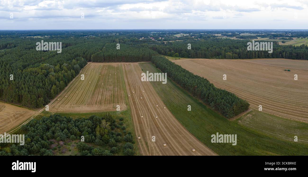 Panoramablick auf geteilte Felder mit Heuballen, dichte Wälder und entfernte Siedlungen unter bewölktem Himmel in einer ländlichen Umgebung. Stockfoto