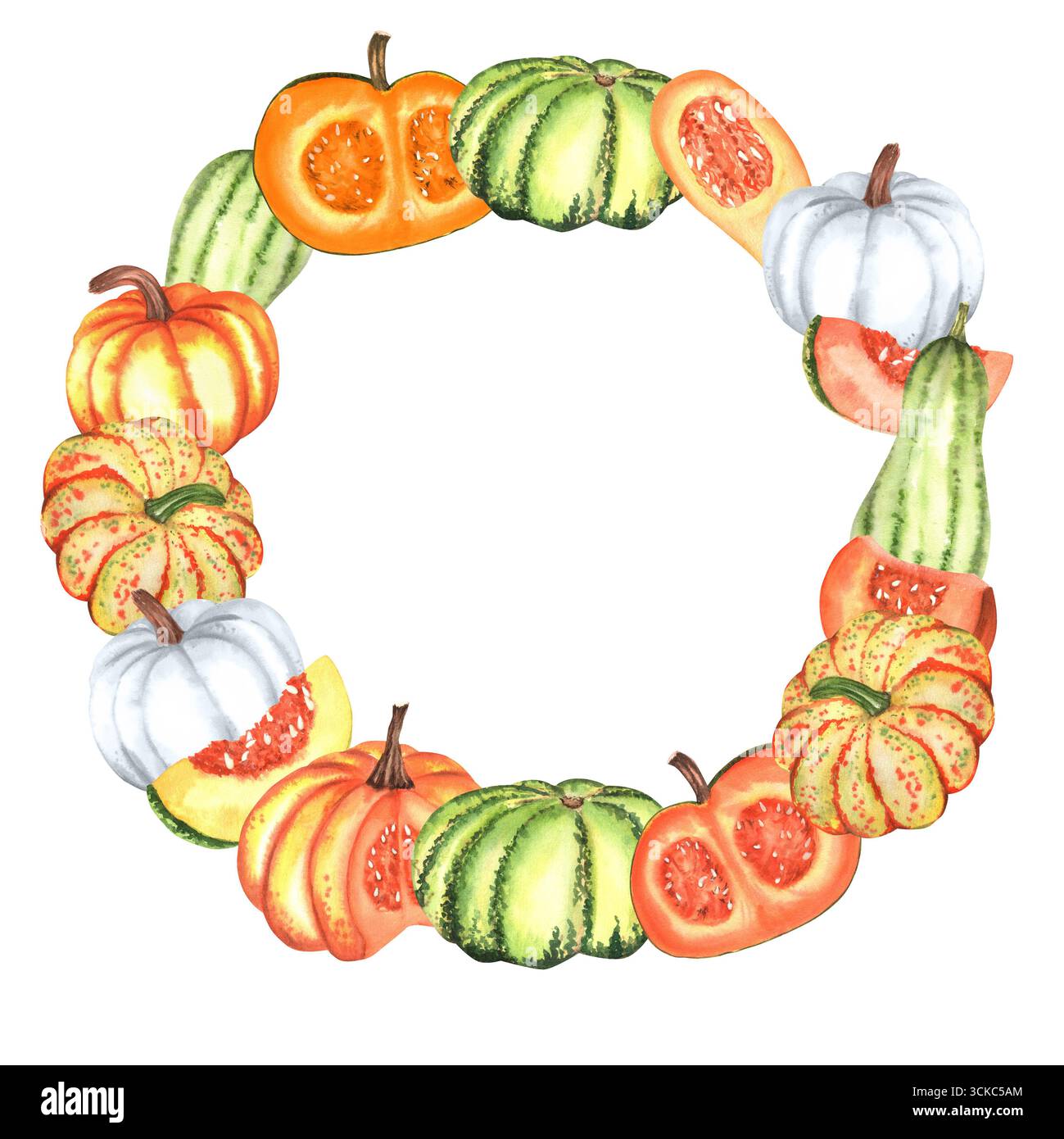 Herbstkranz mit orangefarbenen, weißen, grünen Kürbissen und Scheiben. Dekoration für das Herbstfest. Rahmen für Thanksgiving-Kreis. Handgezeichnete Abbildung Stockfoto