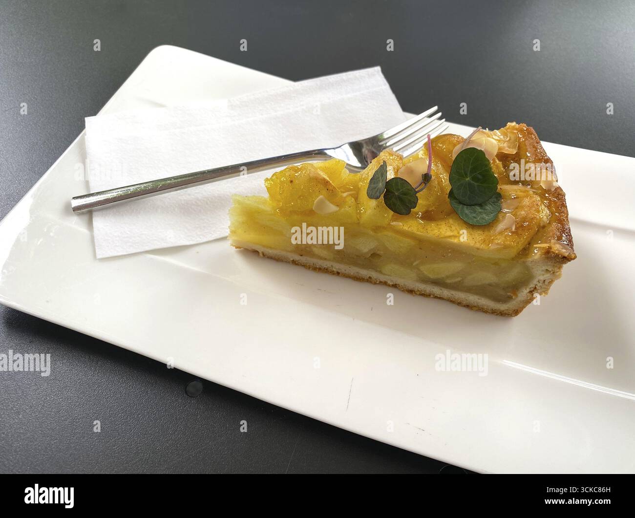 Stück Apfelkuchen, Kuchengabel, Teller, Serviette, Essen, Kanton Schwyz, Schweiz Stockfoto