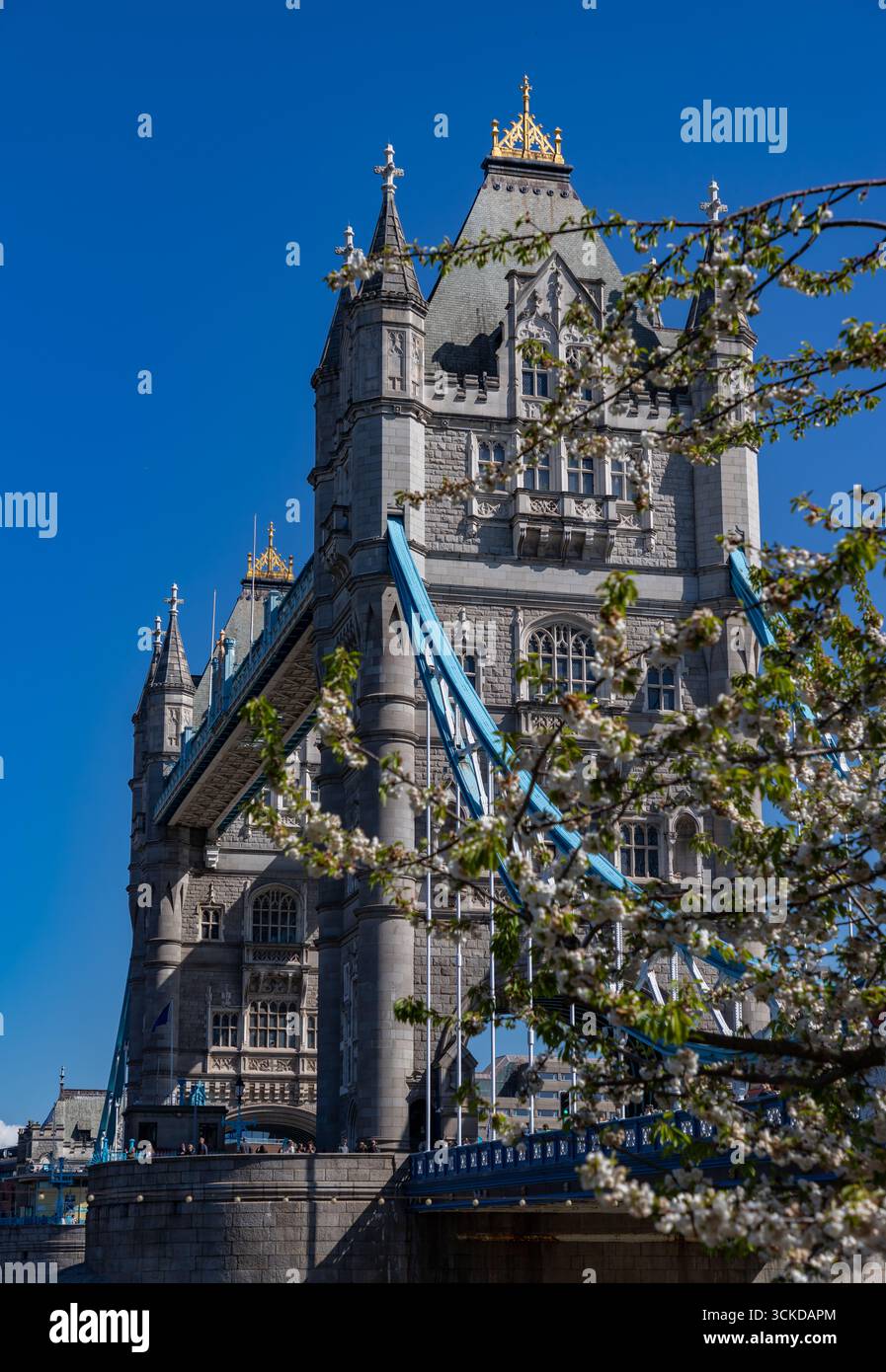 Ein Bild der berühmten Tower Bridge, London. Stockfoto