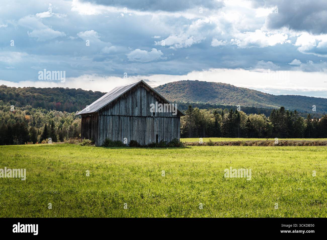 Rustikale Holzscheune auf einem grünen Feld mit Wald und Bergen im Hintergrund, Quebec, Kanada. Stockfoto