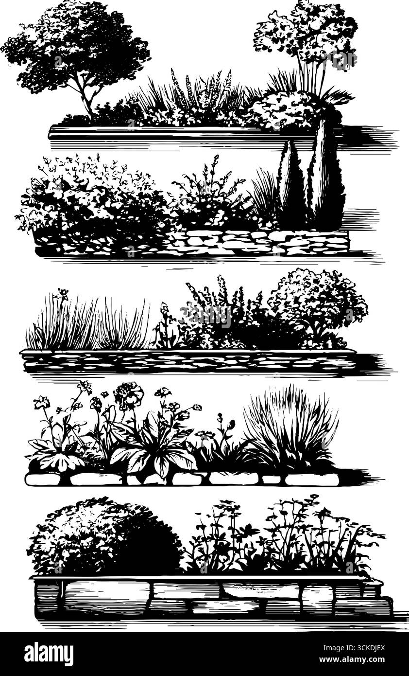 Set mit gravierten Illustrationen für Blumenbeet-Layouts für Gartendesign. Stock Vektor Set mit gravierten Illustrationen für Blumenbeet-Layouts für Gartendesign. Stock Vektor