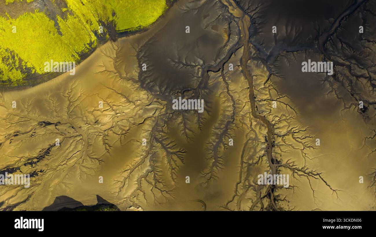 Luftbild von Islands vulkanischem Gelände mit verzweigten Flüssen auf goldbraunem Sediment, im Kontrast von grünem Moos in der oberen linken Ecke. Stockfoto