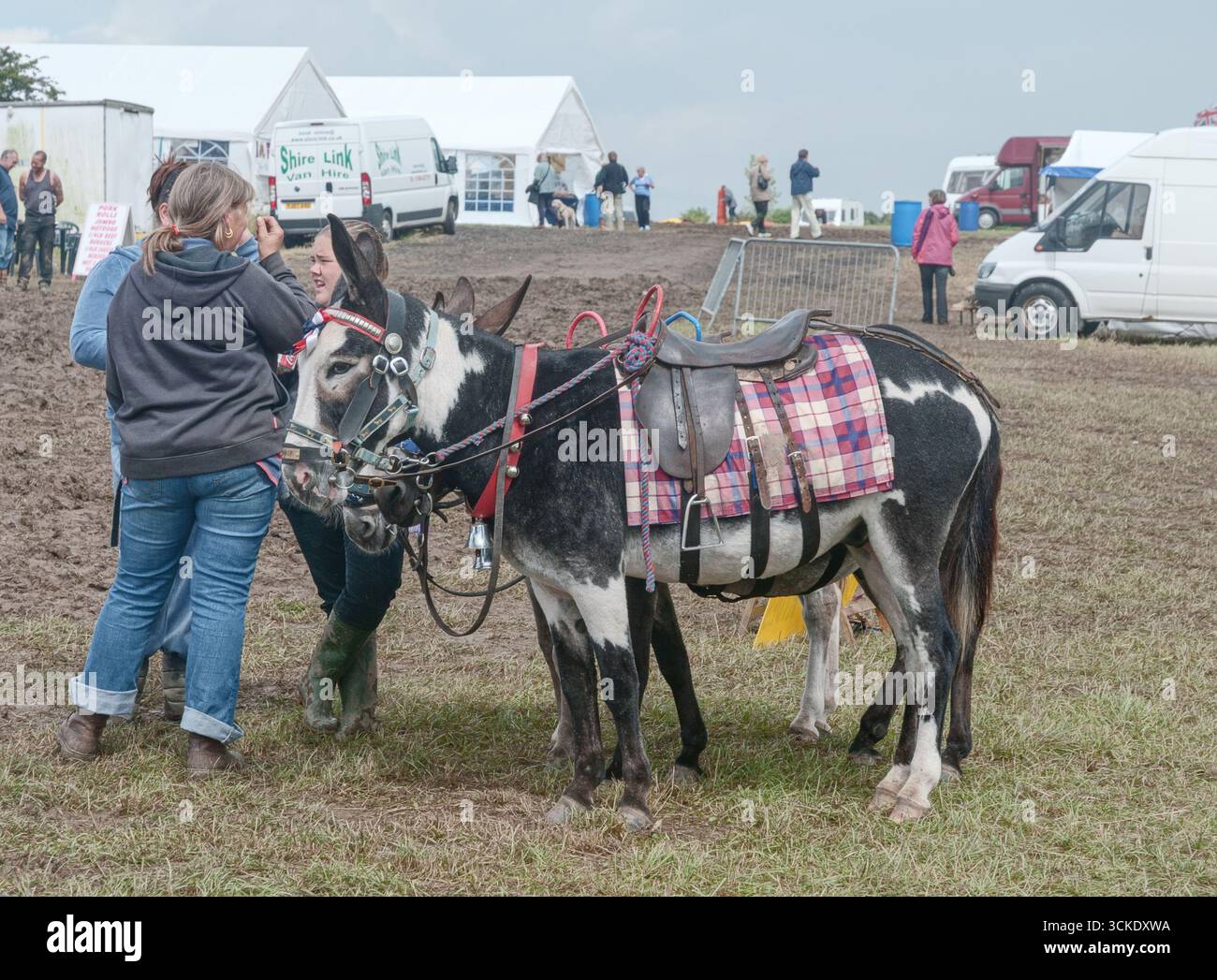 Ein Paar Esel und ihre Handler warten auf Kunden auf der Ackworth Steam and Historical Vehicle Show 2008 in Yorkshire England Stockfoto