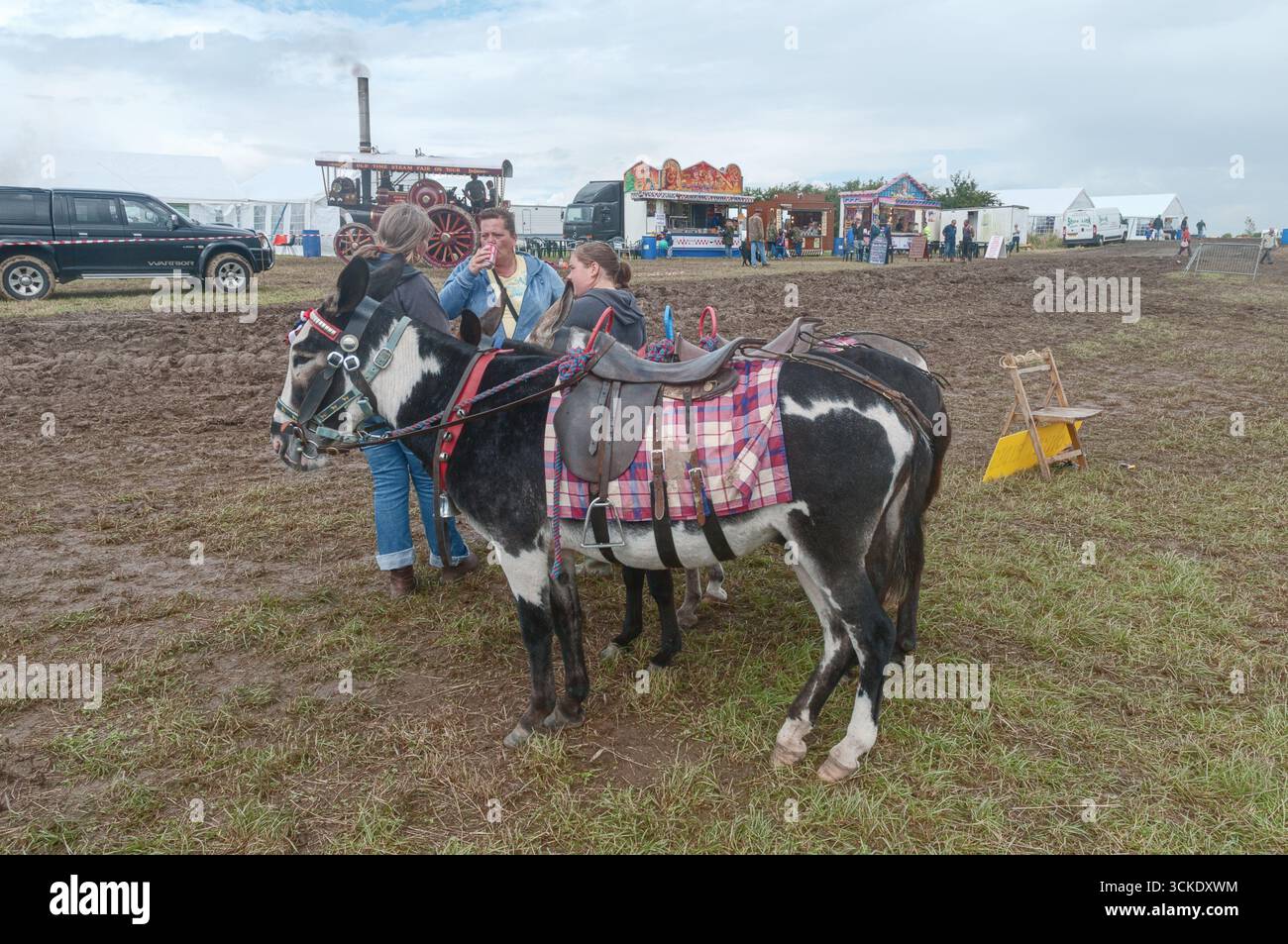 Ein Paar Esel und ihre Handler warten auf Kunden auf der Ackworth Steam and Historical Vehicle Show 2008 in Yorkshire England Stockfoto