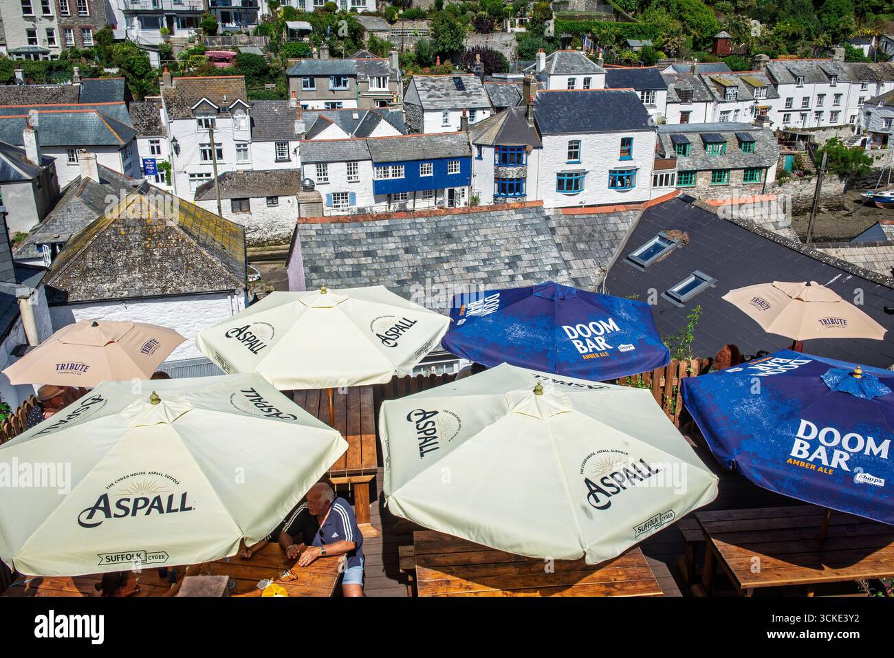 Blick von der Dachterrasse auf Pun und Häuser von Polperro Village, Cornwall Stockfoto