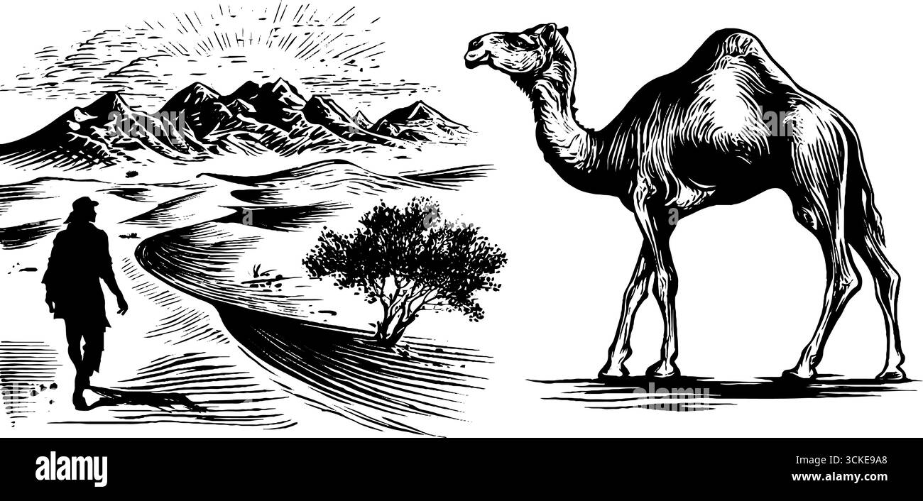 Vintage-Gravur von Wüstenmirage mit Kamelsilhouette und Wanderer. Stock Vektor