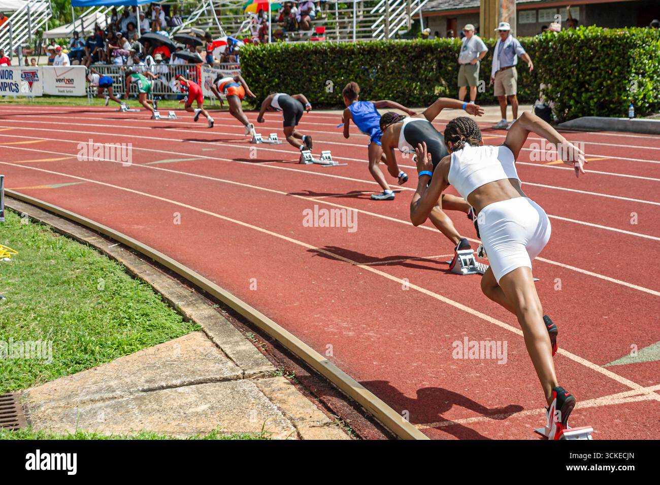 Miami Florida, Tropical Park, USA Track & Field Nationale Juniorolympiade, Studenten Athleten Teenager Teenager Jugendliche Mädchen weibliche Startläufer Stockfoto