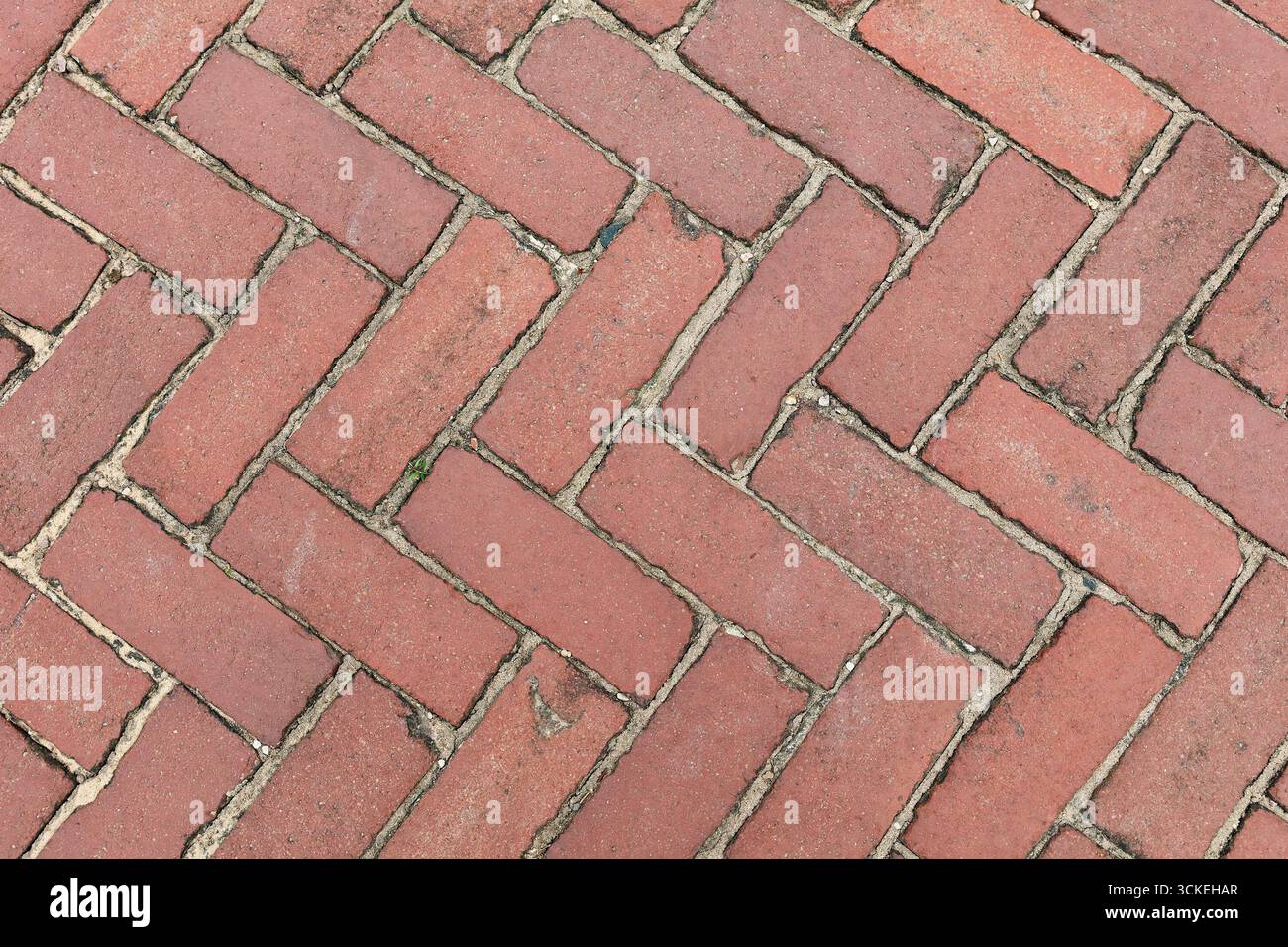 Rote Ziegelsteinpflaster in klassischem Fischgrätenmuster mit sichtbarem Mörtel und natürlicher Abnutzung. Klare Überkopfstruktur, ideal für Hintergründe, CA. Stockfoto