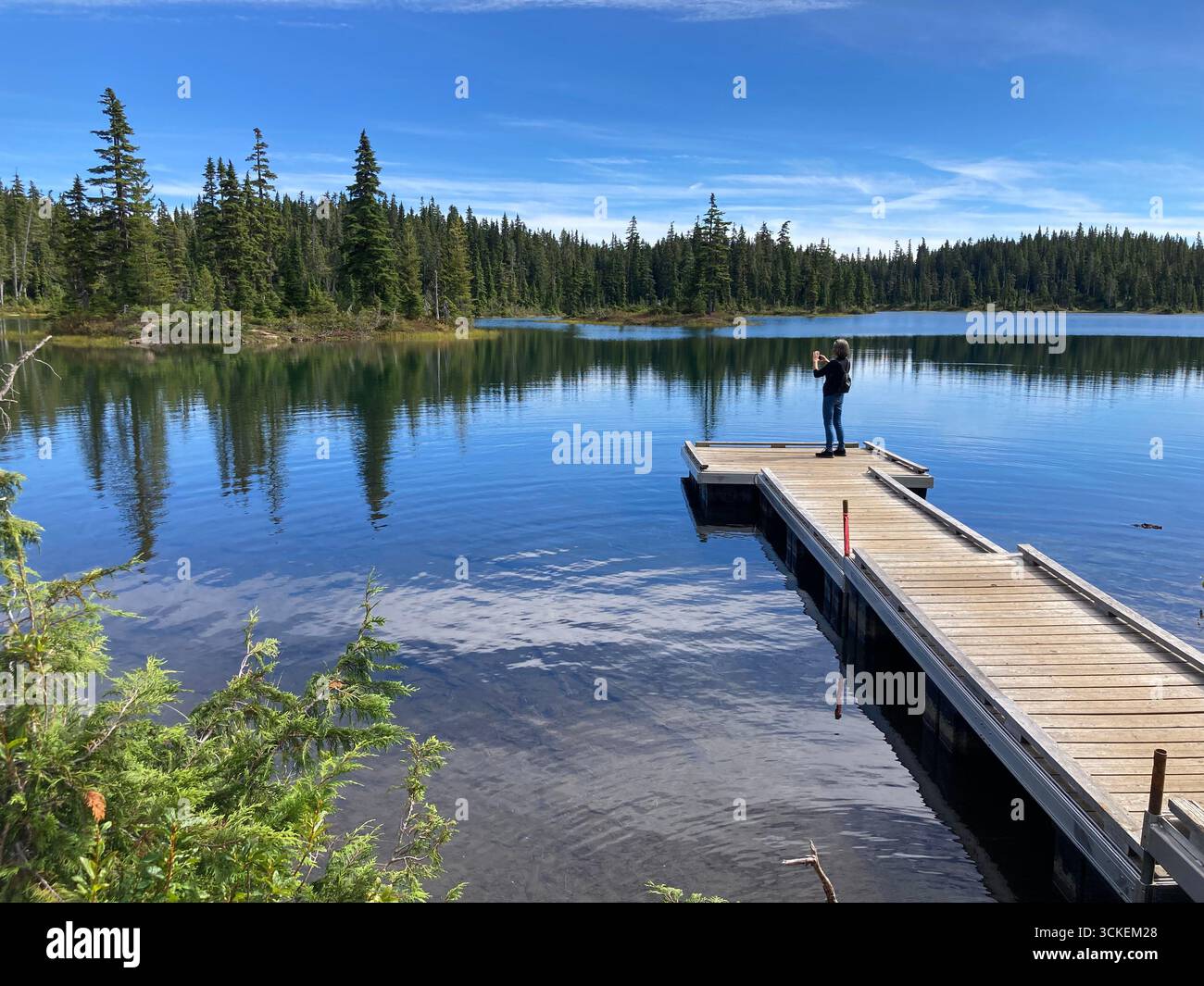 Frau macht Fotos von einem Holzsteg am Battleship Lake im Strathcona Provincial Park, Vancouver Island, British Columbia, Kanada unter einem klaren Himmel. Stockfoto